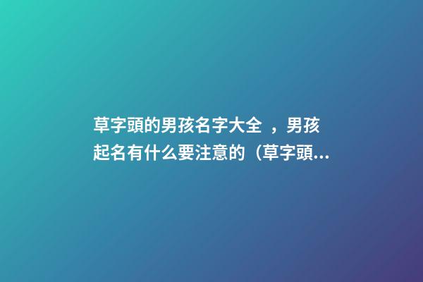 草字頭的男孩名字大全，男孩起名有什么要注意的（草字頭的男孩名字大全,男孩起名有什么要注意的嗎）
